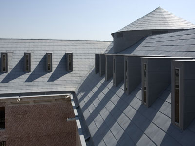 Archizinc Roof