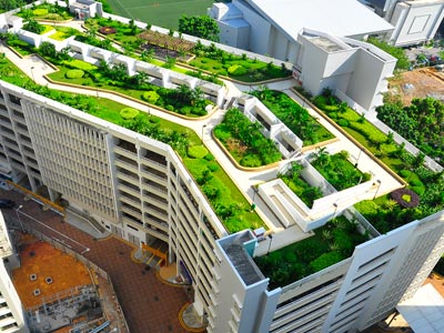 wallspan rooftop garden